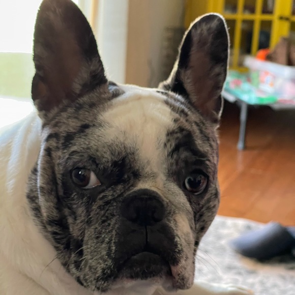 Meet your Posher, Shelly - Picture 5 of 6